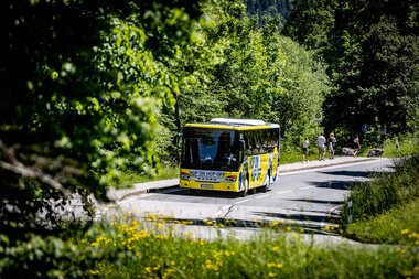 Bush, Shuttle Service, Hop On Hop Off, Gelber Bus fährt auf einer Straße umgeben von Bäumen | © Doris Wild