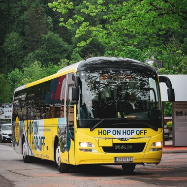 Salzwelten Salzburg Bustransfer Salzburg Sightseeing  | © ELSE_CREATIONS